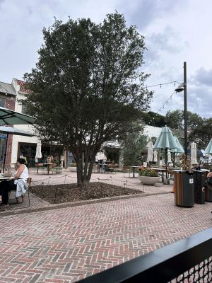 The promenade from 230 Forest